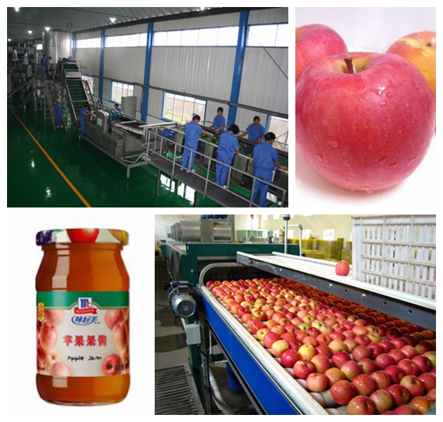 Apple jam production line