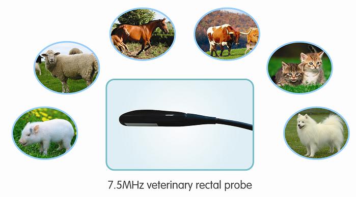 Portable veterinary ultrasound with BW veterinary ultrasound system