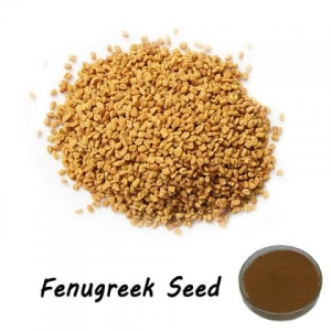 Fenugreek Seed Extract GMP factory