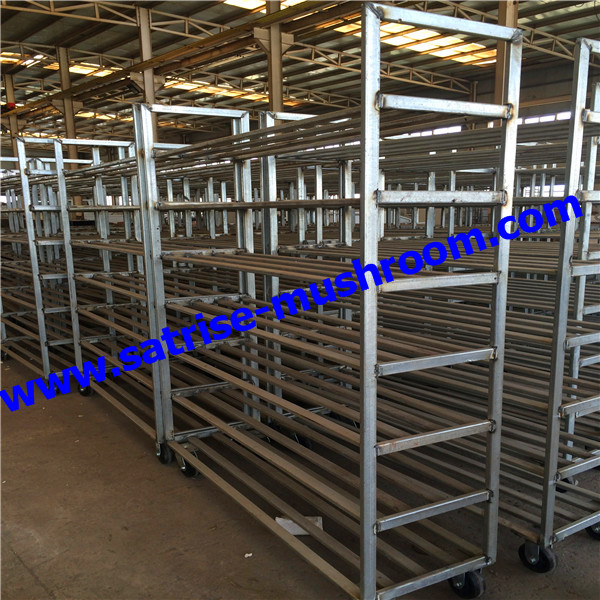 Multifunctional warehouse storage rackmushroom growing shelves