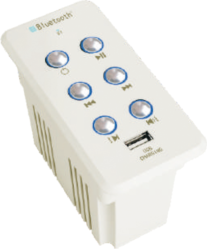 Bluetooth Audio System SM618D