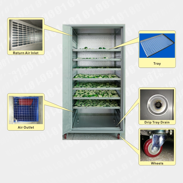 High Efficiency mushroom dryer oven fruit and vegetable drying machine with low price