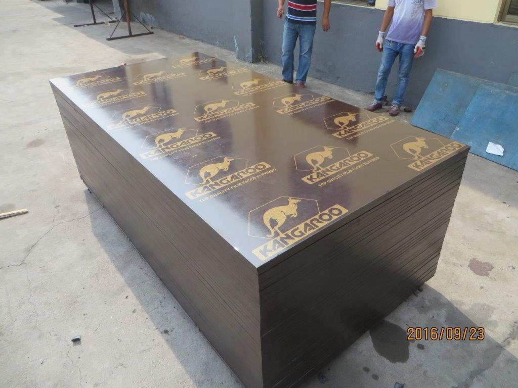 KANGAROO BRAND FILM FACED PLYWOOD POPLAR CORE BROWN PRINTED FILM