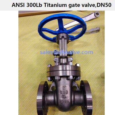ANSI 300Lb Titanium gate valveDN50