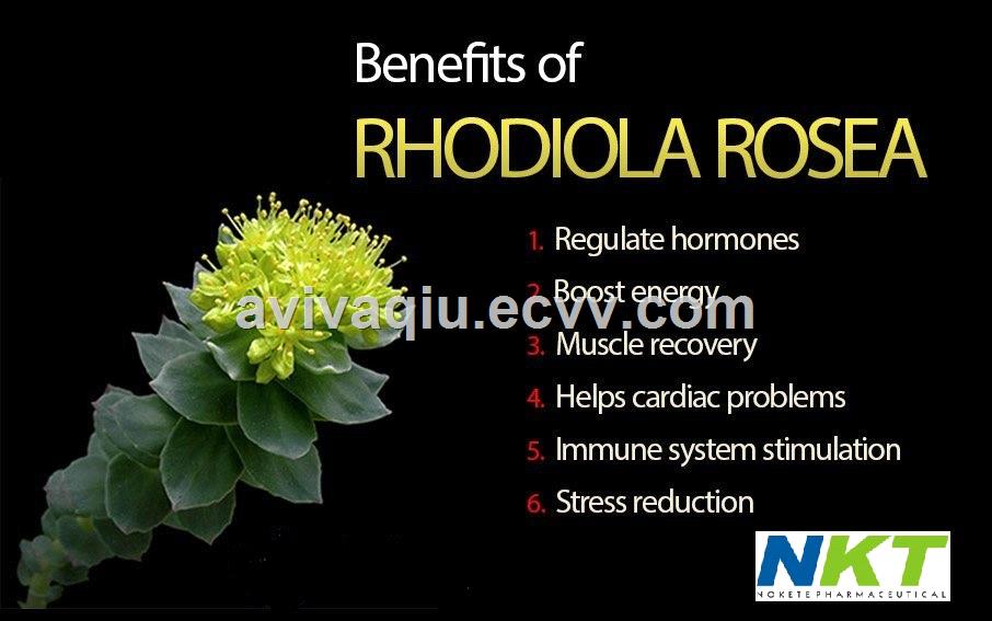 Rhodiola Rosea Extract Rosavins 3 10 HPLC