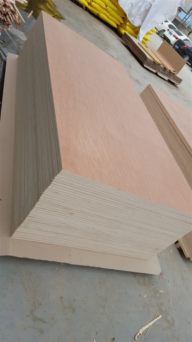 bintangor plywood