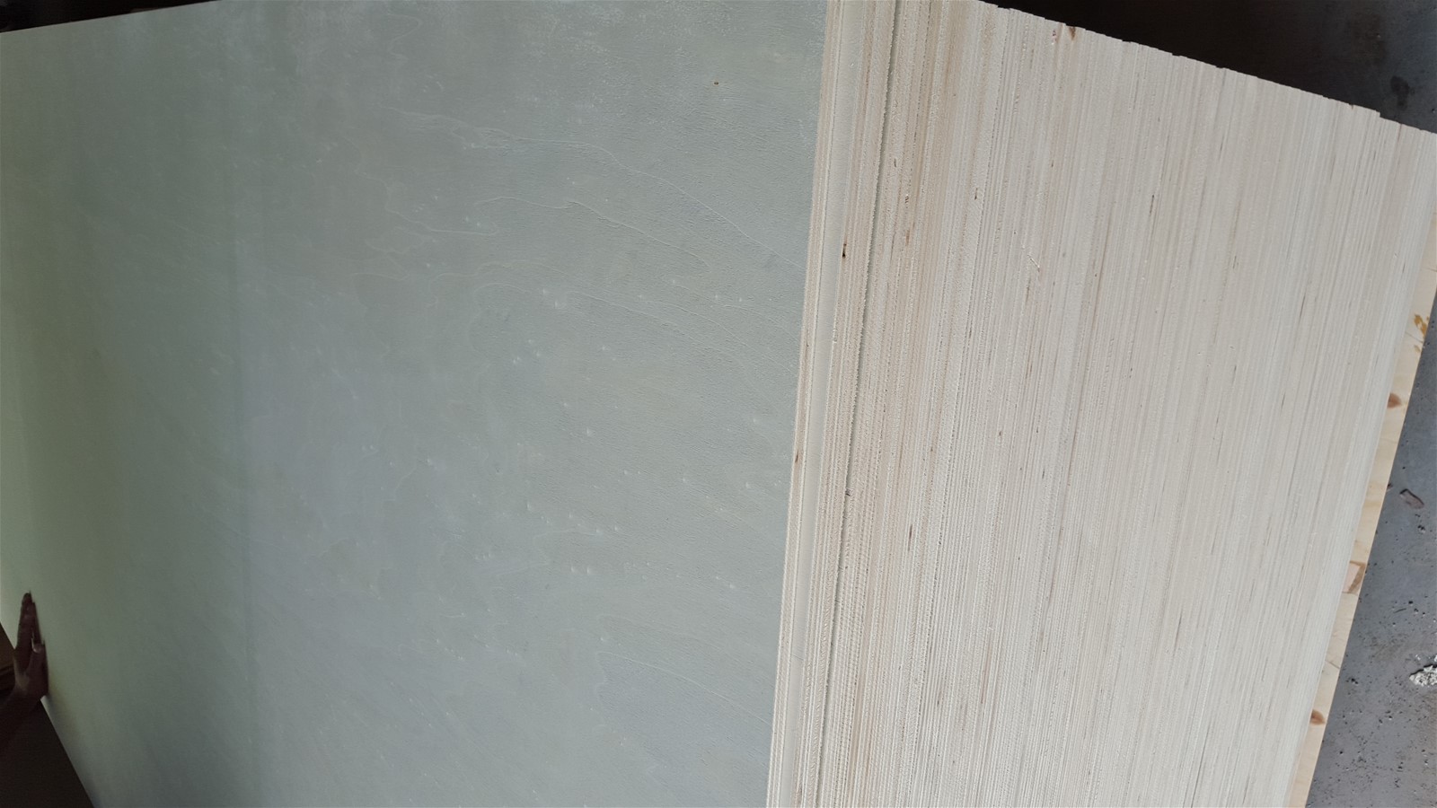 bleached poplar plywood