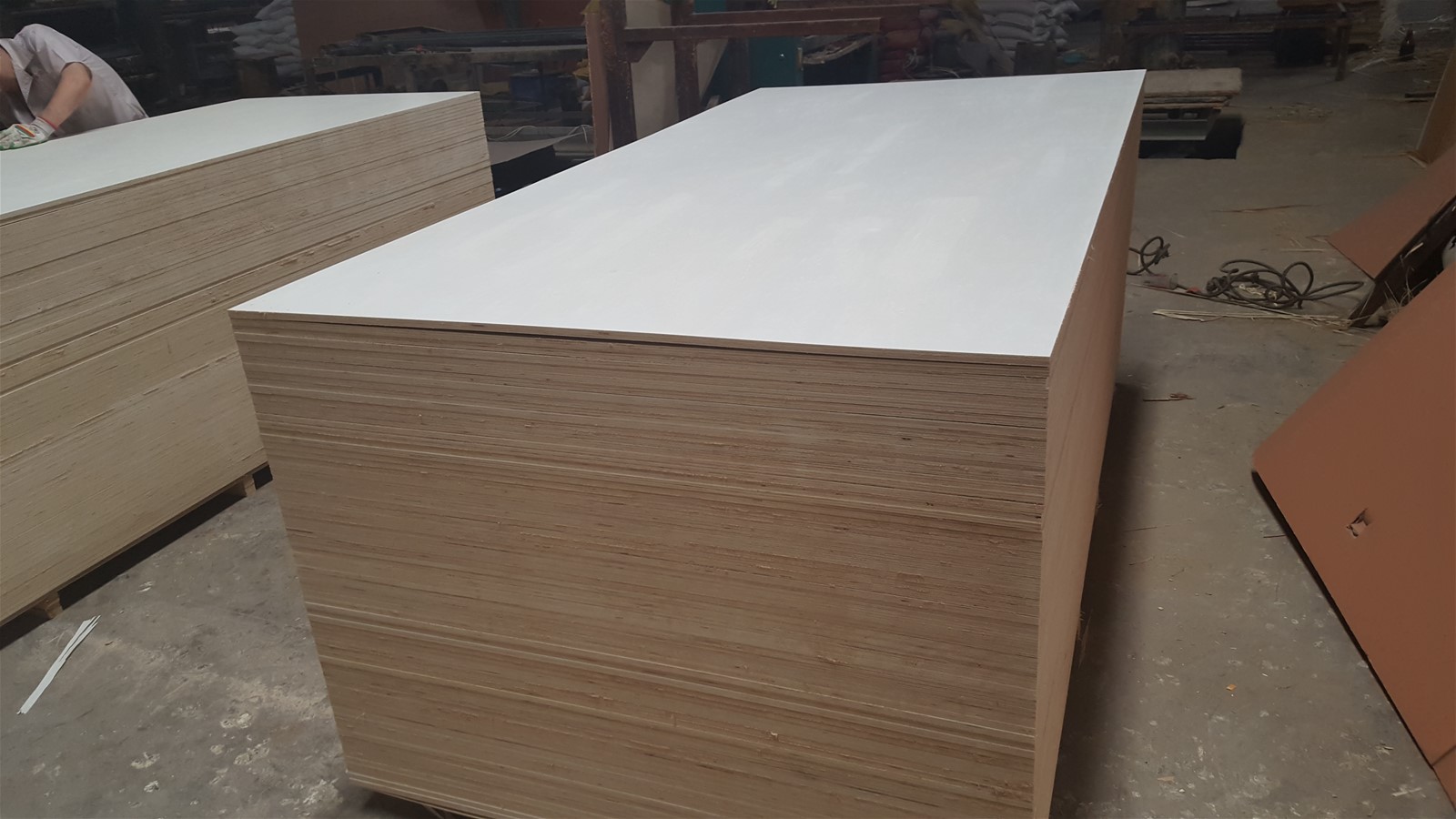 bleached poplar plywood