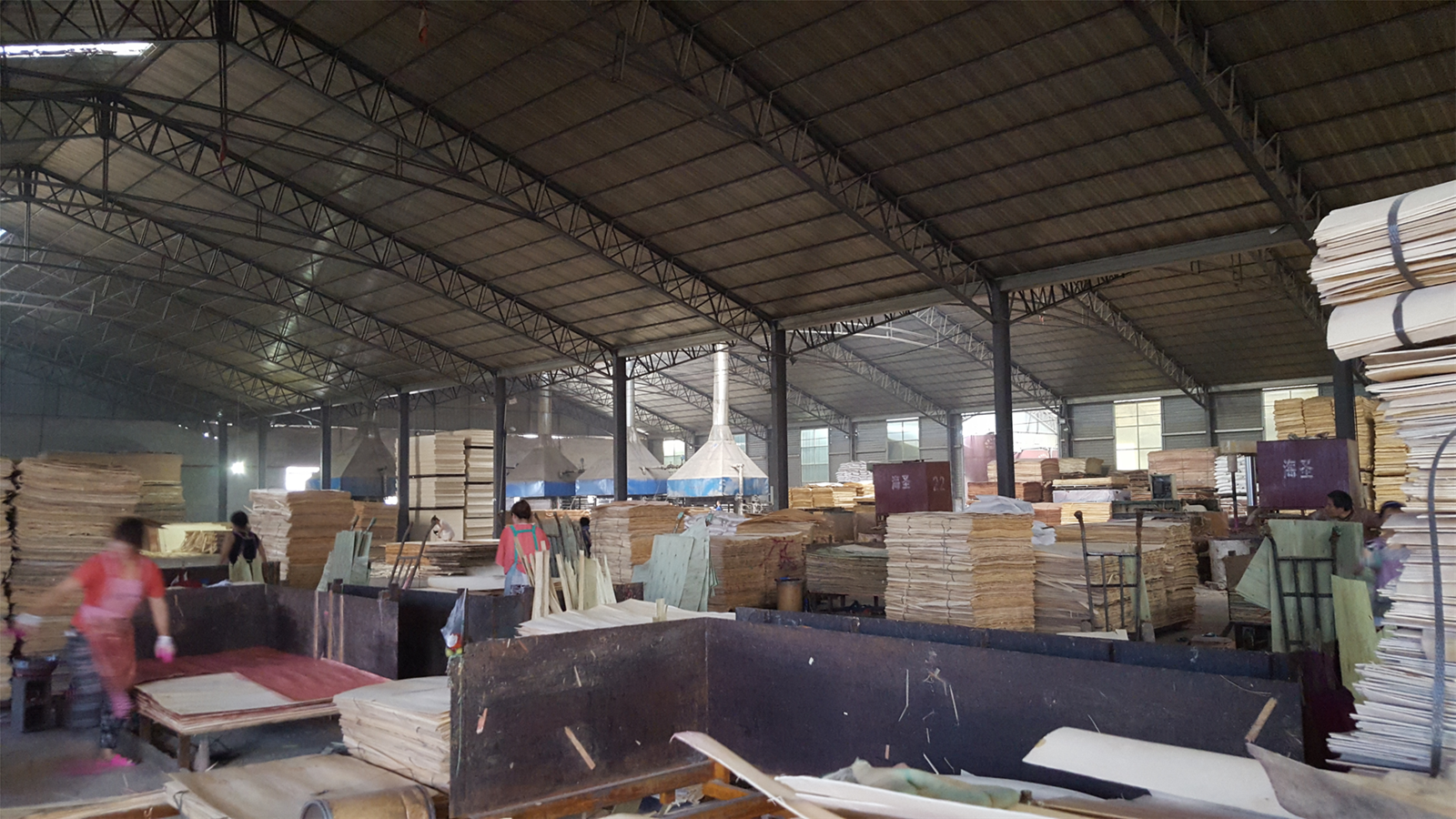 bintangor plywood