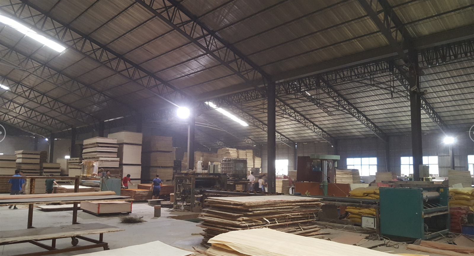 bintangor plywood