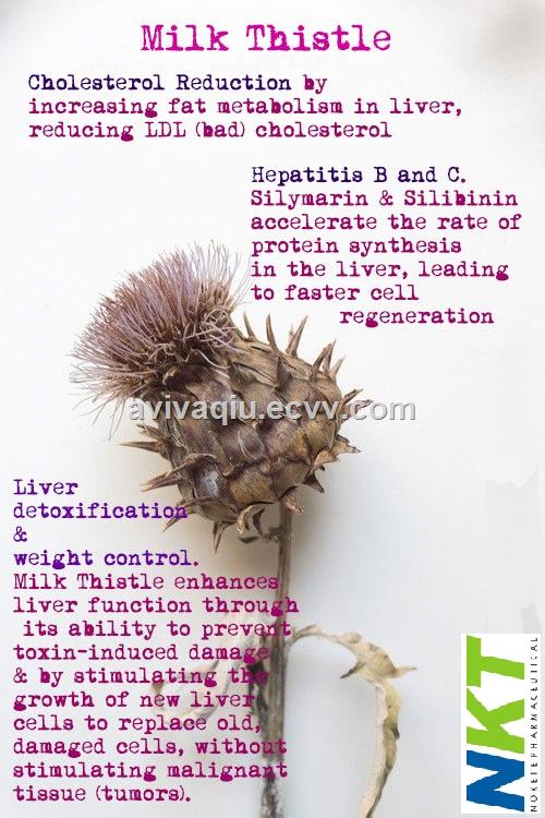 Milk Thistle Extract