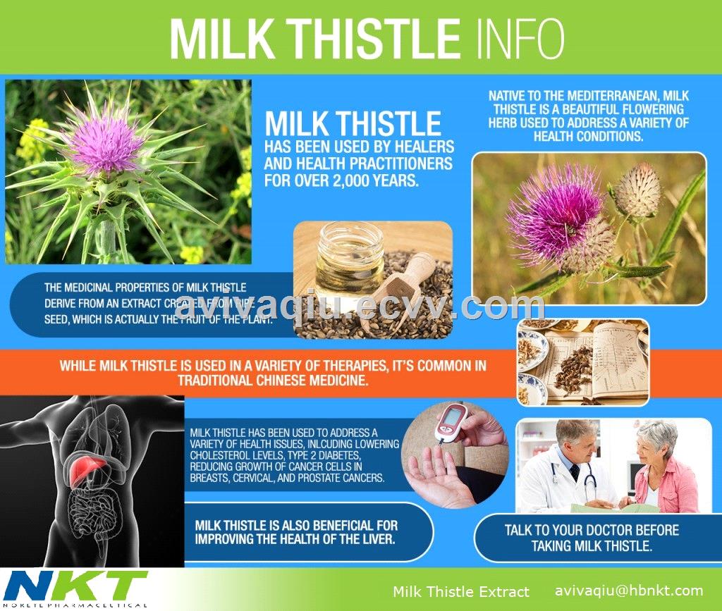Liver Support Silymarin 80 Herbal Plant Extract Milk Thistle Extract