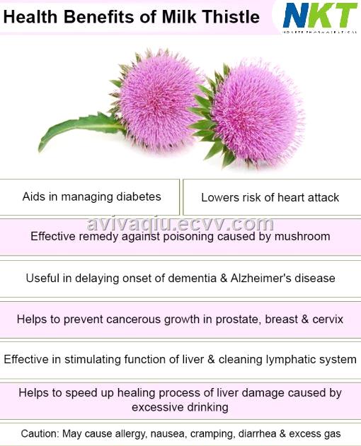 Milk Thistle Extract