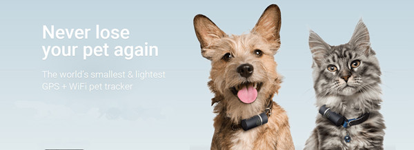 Antiloss Pet GPS tracker