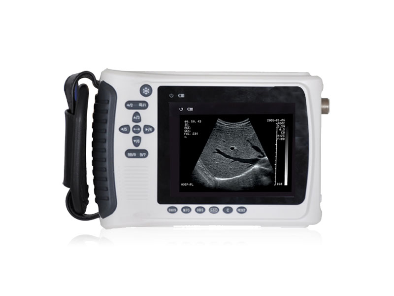 DAPL3018H handheld ultrasound scanner pregnancy scanner ultrasound