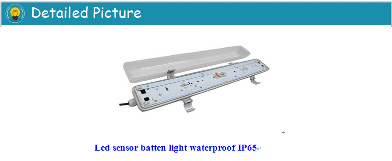 SAA CTick listed LED waterproof triproof batten light with microwave motion sensor ip65 4ft 120mm 36w