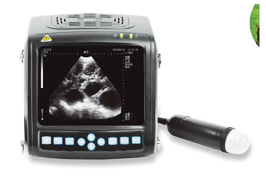 MSU1 portable mechanical sector full digital mechanical sector ultrasound scanner