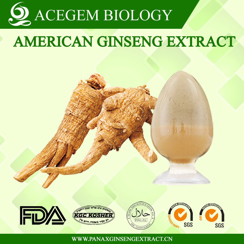 EC396 Standard American Ginseng Root Extract 40 HPLC