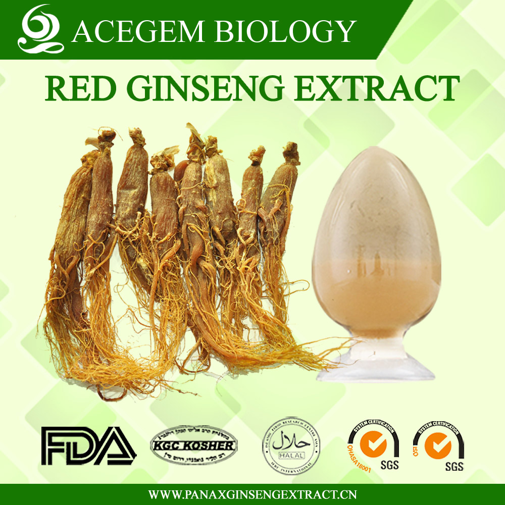 EC396 Standard Korean Red Ginseng Root Extract120 HPLC For Dietary Supplement