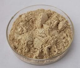 High quality Anticancer Sulforaphane powder