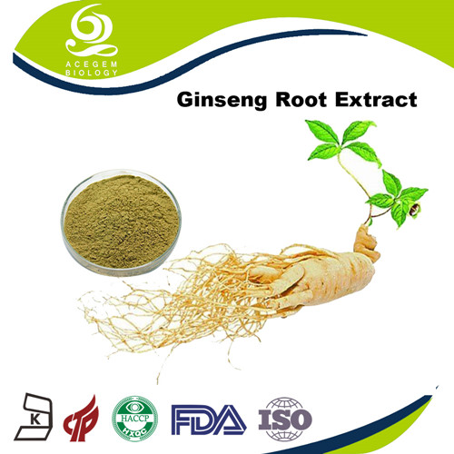 Panax Ginseng Root Extract Ginsenosides 7% Powder from China ...