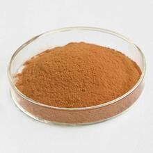 Yohimbe Bark Extract