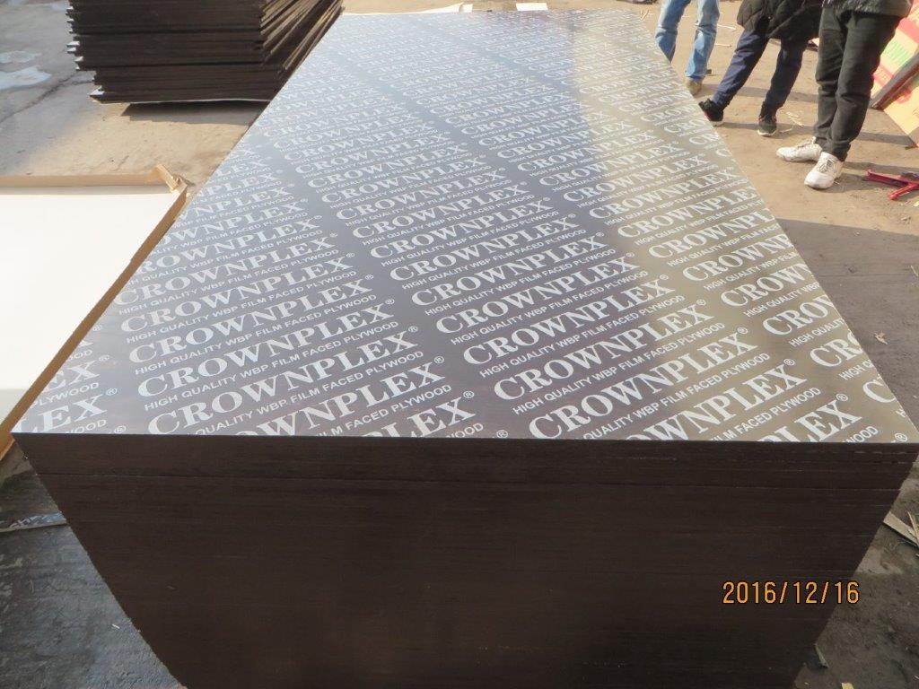 CROWNPLEX brand film faced plywoodpoplar coreBrown film faced Plywood