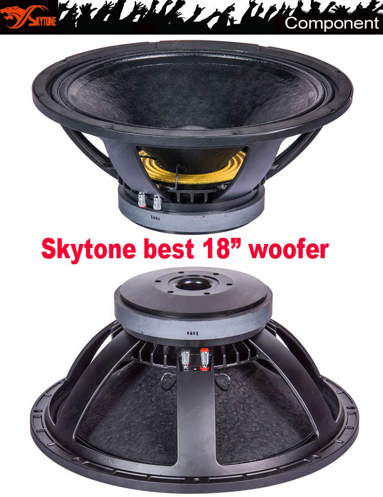 Double 18 Inch Subwoofer Professional Audio Loudspeaker