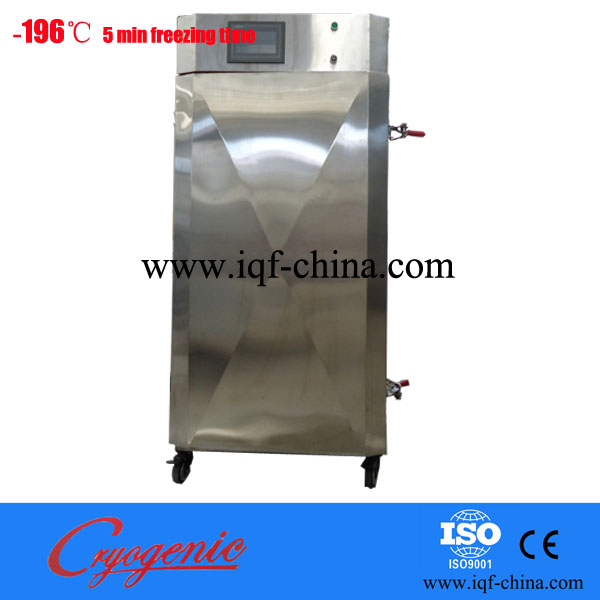 Hot sale Air Blast Freezerquick freezer for fish and vegetable