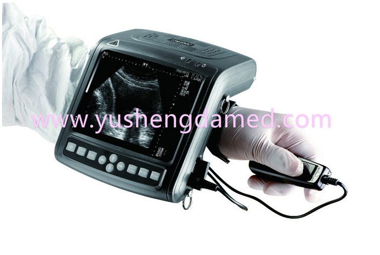 Ysd3002Vet Full Digital Handheld Veterinary Ultrasound CE ISO SGS Approved