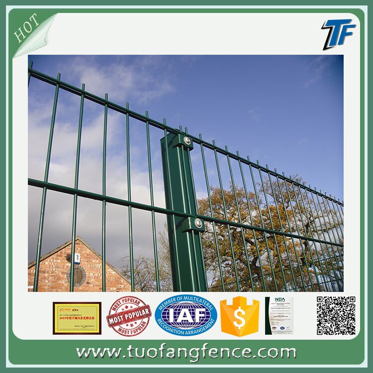 Double Wire Fence