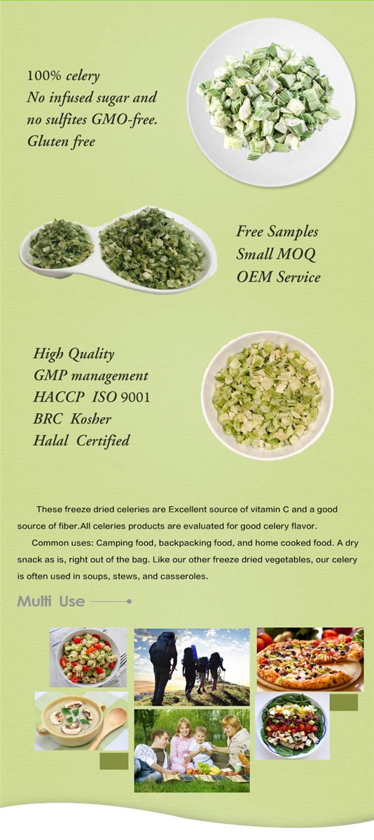 Freeze Dried Celery Stalk