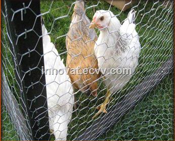 Chicken Wire Netting Hexagonal Wire 10mm Netting Poultry Mesh