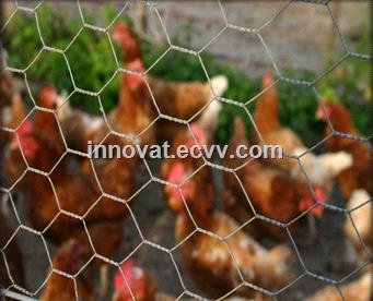 Chicken Wire Netting Hexagonal Wire 10mm Netting Poultry Mesh