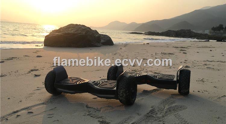85 Inch Electric Self Balance Scooter with 800W Motor
