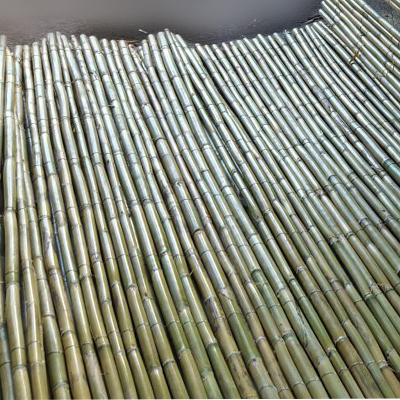 reed fence