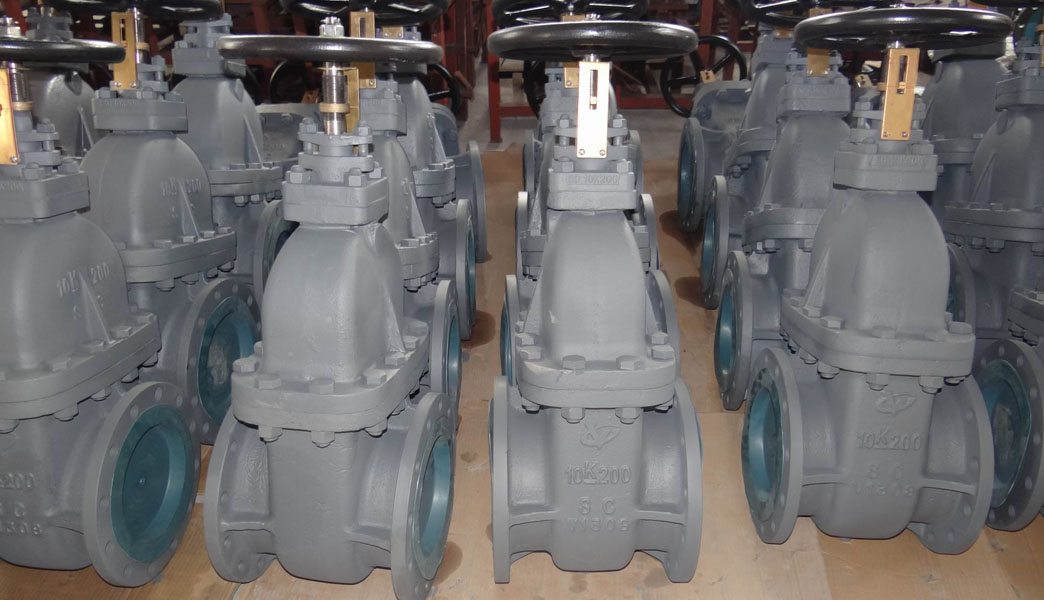 Marine Jis Cast Steel Gate Valve