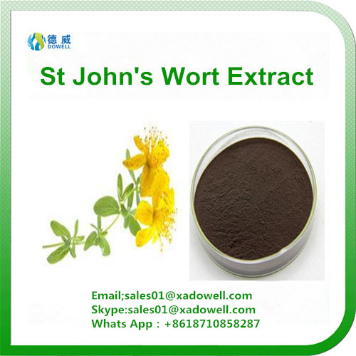 St Johns Wort Extract cas 118343