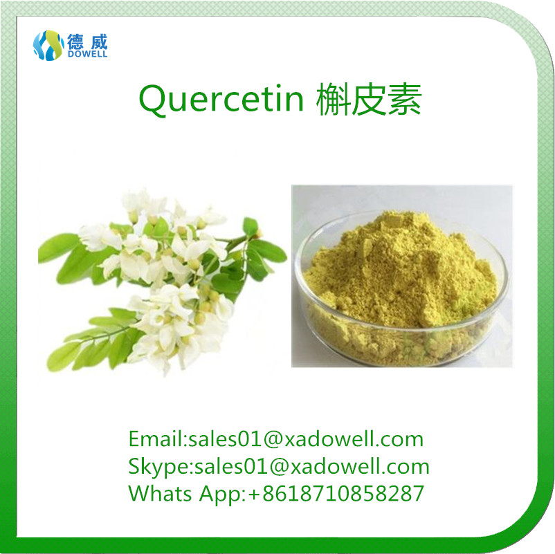 Sophora Japonica Extract Quercetin CAS No117395