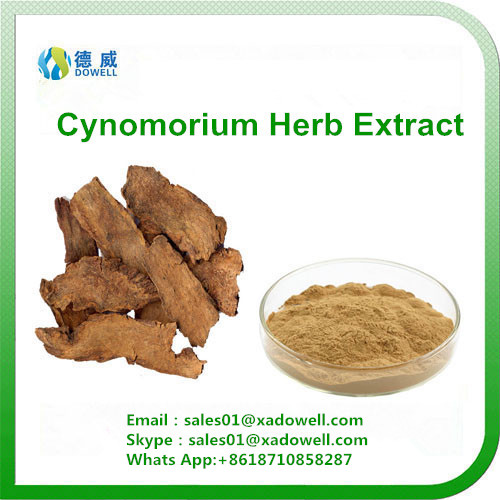 Natural Herbal Cynomorium Herb Extract