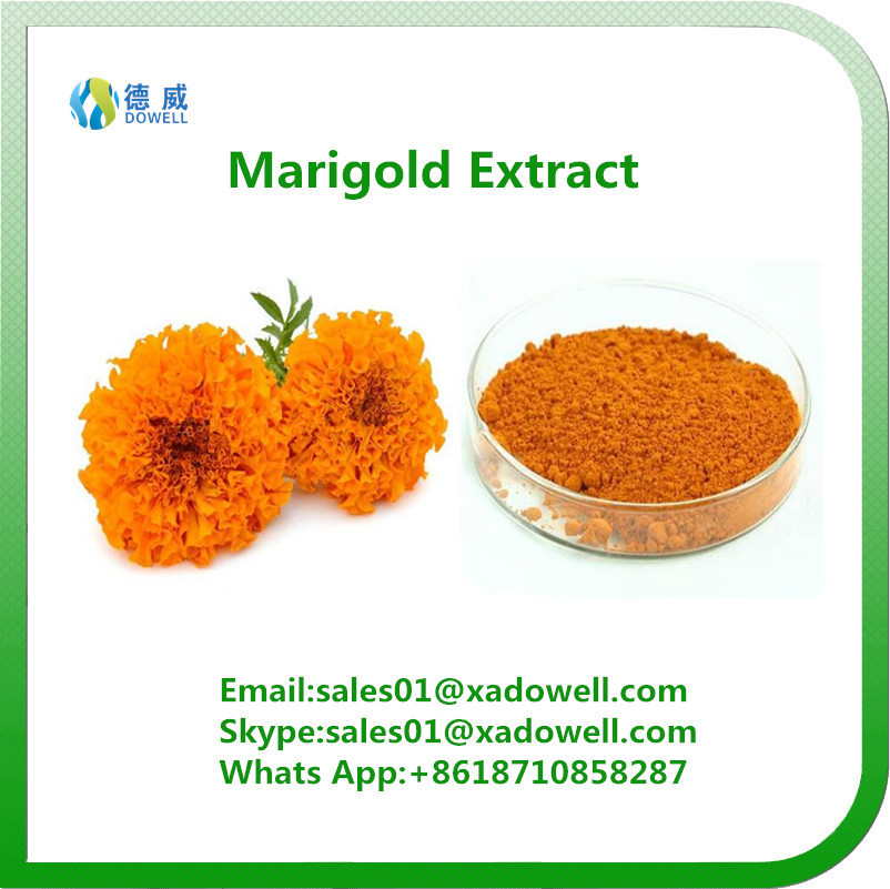 Marigold Extract Lutein 590