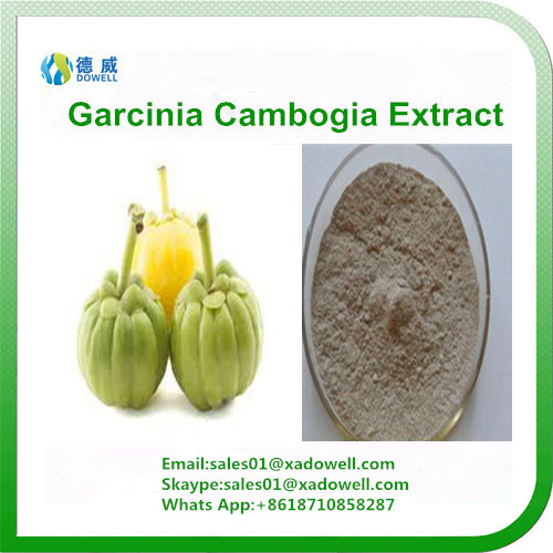 Garcinia Combogia Extract HCA Hydrogen Citric Acid