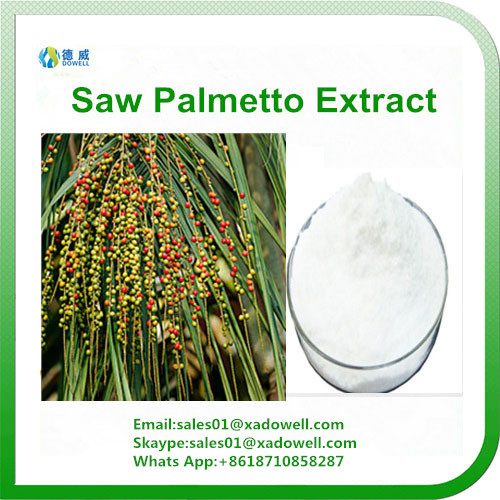Natual Saw palmetto extract CAS 84604159
