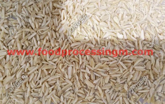 nut processing machinery with best price china