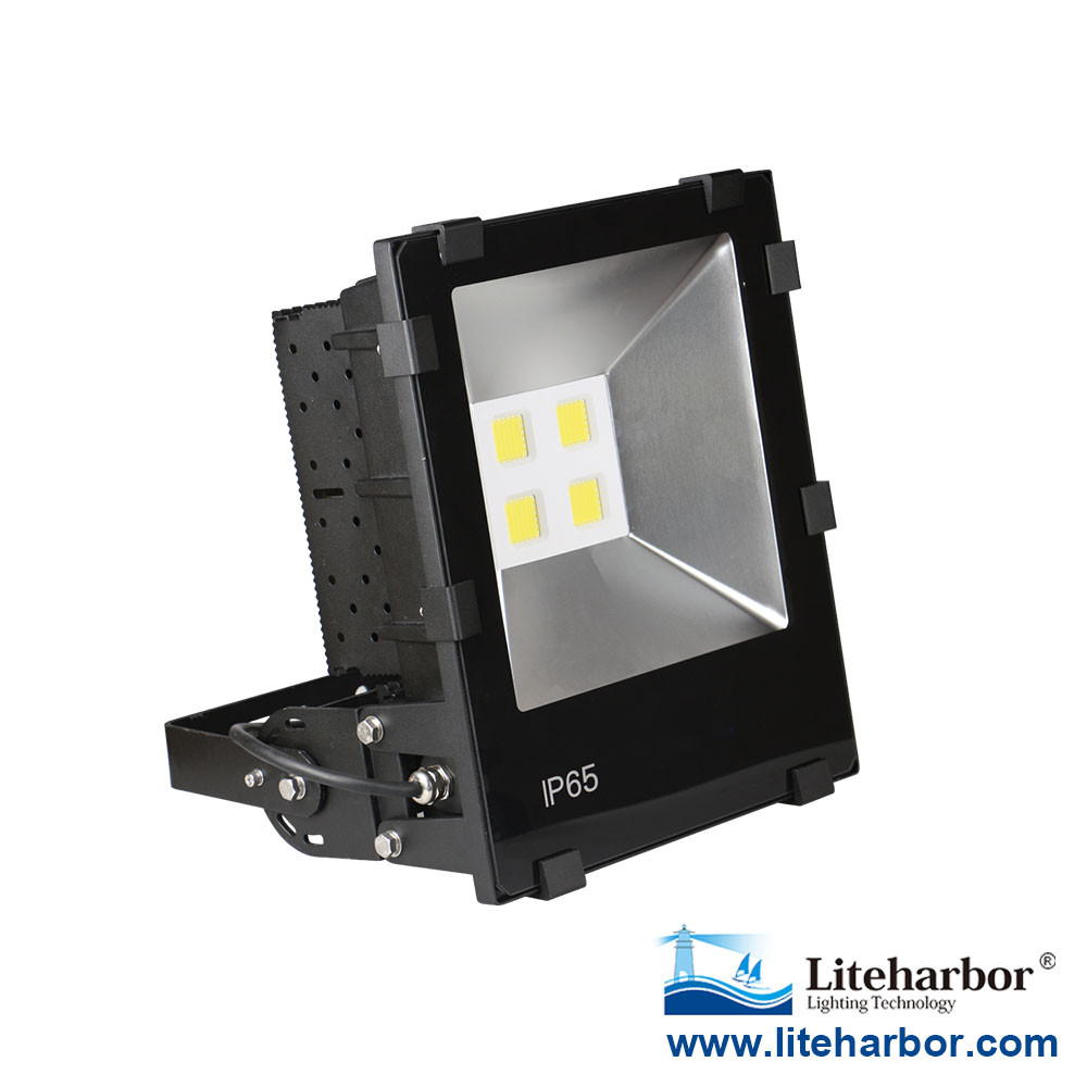 Led fixture Die Casting Aluminum ScaleType Heat Sink LED Flood Light 160W