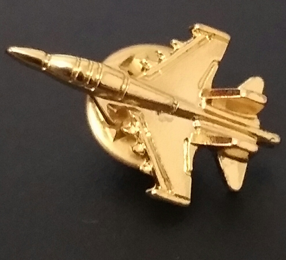 airplane lapel pin