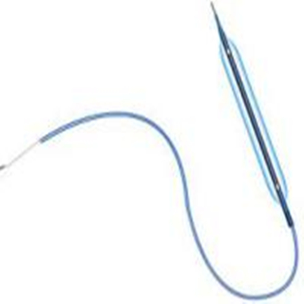 catheter