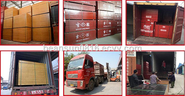 China Brand Concrete Formwork Marine Plywood