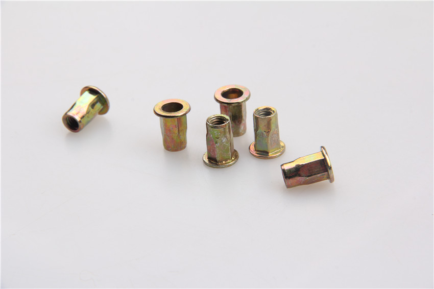 China fasteners stainless steel flat head hex rivet nut