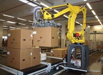 China good price industrial robot palletizer for carton pallet